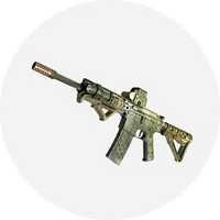 Shop All Customs